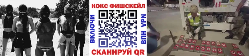 Купить закладки  Опочка  COCAIN 97% 