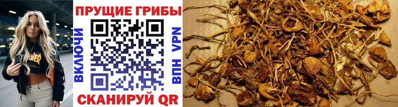 Псилоцибиновые грибы ЛСД  Купить  Опочка 