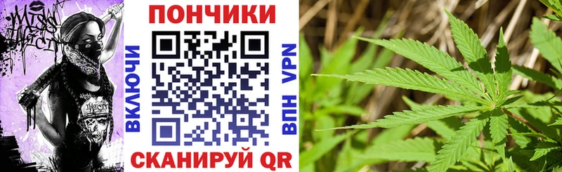 Бошки марихуана ГИДРОПОН Опочка